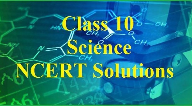 BENEFITS OF NCERT SOLUTIONS CLASS 10Th Science