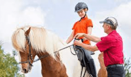 Equestrian Excellence: Navigating the World of Horses and Horsemanship